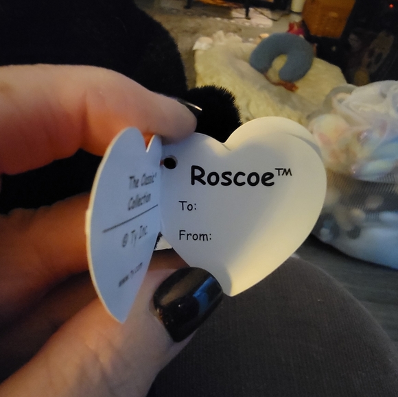 12 in TY Beanie Roscoe - Picture 6 of 6